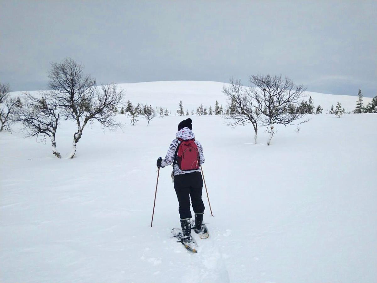 Ounasloma Holiday Cottages Энонтекиё Экстерьер фото